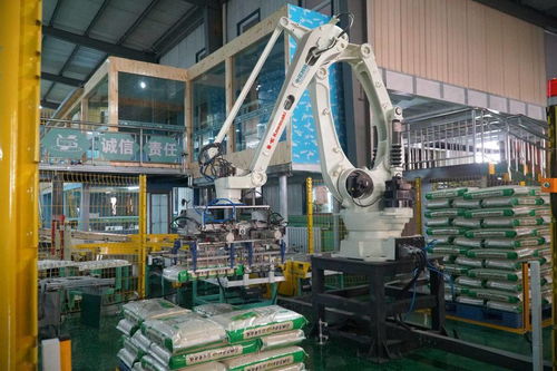 軟件技術開發賦能寧夏綠色食品產業，激發農業新活力